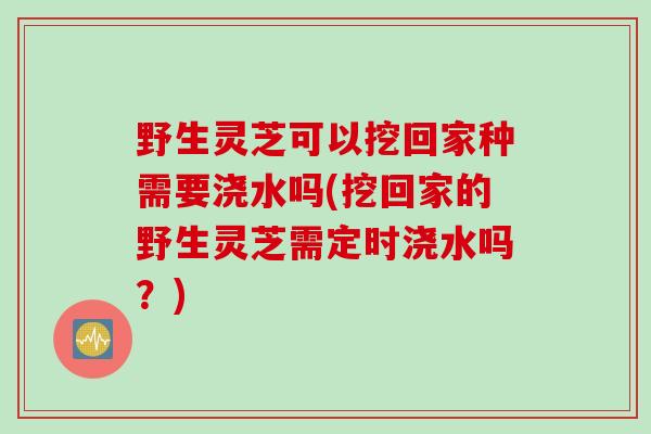 野生灵芝可以挖回家种需要浇水吗(挖回家的野生灵芝需定时浇水吗？)