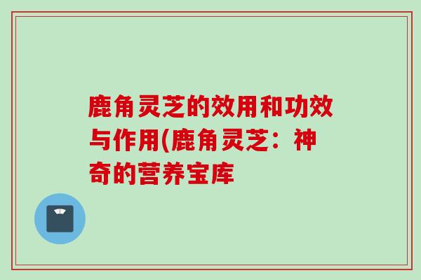 鹿角灵芝的效用和功效与作用(鹿角灵芝：神奇的营养宝库