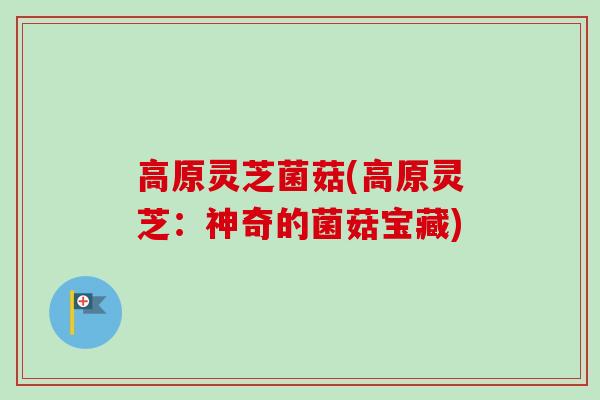 高原灵芝菌菇(高原灵芝：神奇的菌菇宝藏)