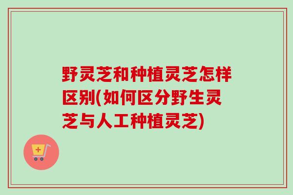 野灵芝和种植灵芝怎样区别(如何区分野生灵芝与人工种植灵芝)
