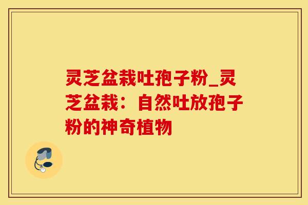 灵芝盆栽吐孢子粉_灵芝盆栽：自然吐放孢子粉的神奇植物