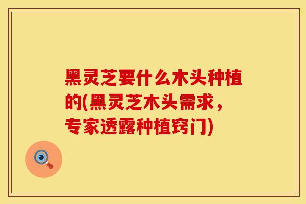 黑灵芝要什么木头种植的(黑灵芝木头需求，专家透露种植窍门)