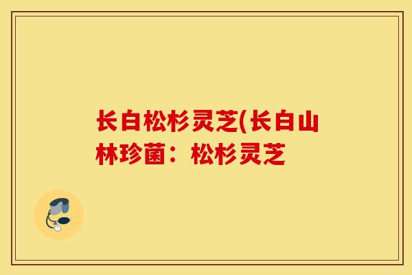 长白松杉灵芝(长白山林珍菌：松杉灵芝