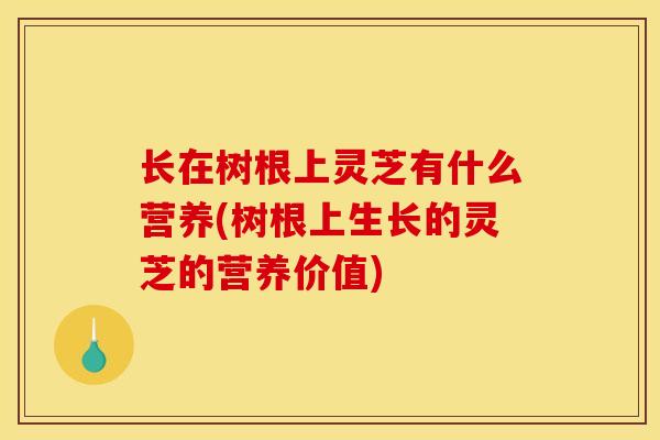 长在树根上灵芝有什么营养(树根上生长的灵芝的营养价值)