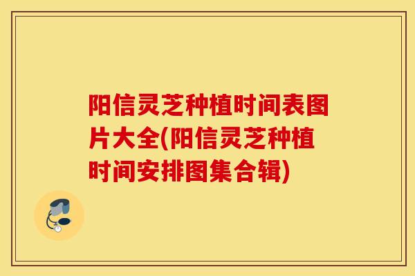 阳信灵芝种植时间表图片大全(阳信灵芝种植时间安排图集合辑)