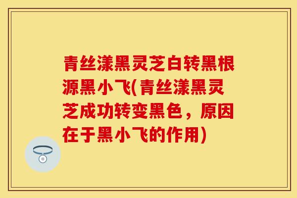 青丝漾黑灵芝白转黑根源黑小飞(青丝漾黑灵芝成功转变黑色，原因在于黑小飞的作用)