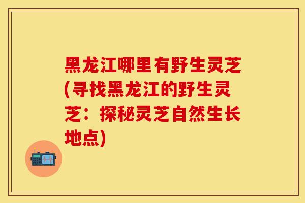 黑龙江哪里有野生灵芝(寻找黑龙江的野生灵芝：探秘灵芝自然生长地点)