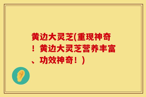 黄边大灵芝(重现神奇！黄边大灵芝营养丰富、功效神奇！)