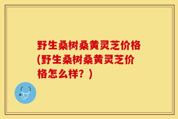 野生桑树桑黄灵芝价格(野生桑树桑黄灵芝价格怎么样？)