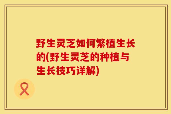 野生灵芝如何繁植生长的(野生灵芝的种植与生长技巧详解)