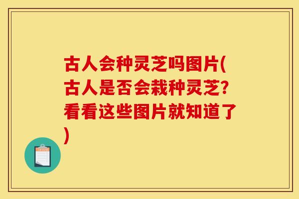 古人会种灵芝吗图片(古人是否会栽种灵芝？看看这些图片就知道了)